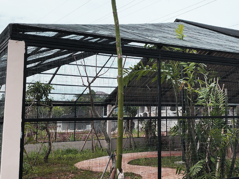 Animal Cage